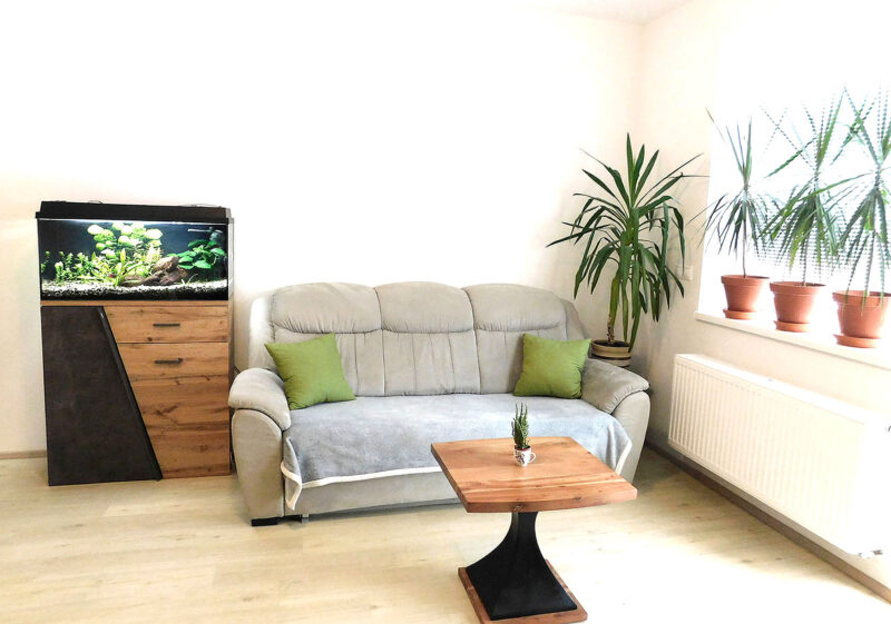 Pronajmu novostavbu 2+kk Slavkov u Brna, 58 m2