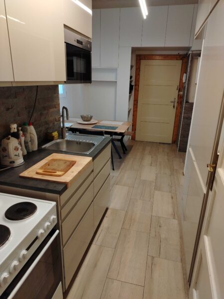 Pronájem 2kk Holešovice, 58,8 m2